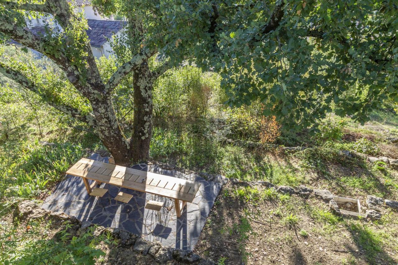 La Maison Des Chataigniers Meyrannes Bagian luar foto